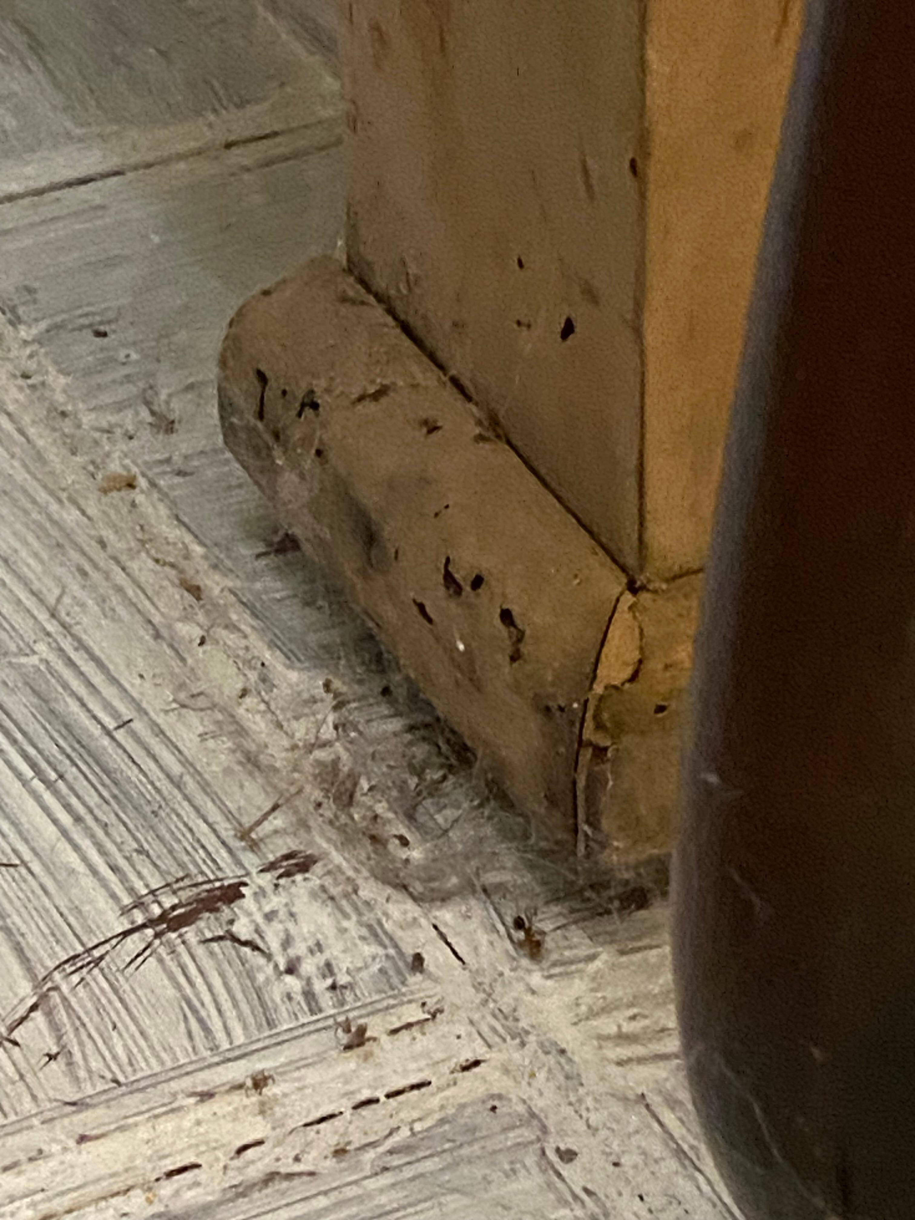 Dirty floors 