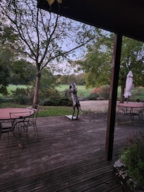 The view at dawn 1