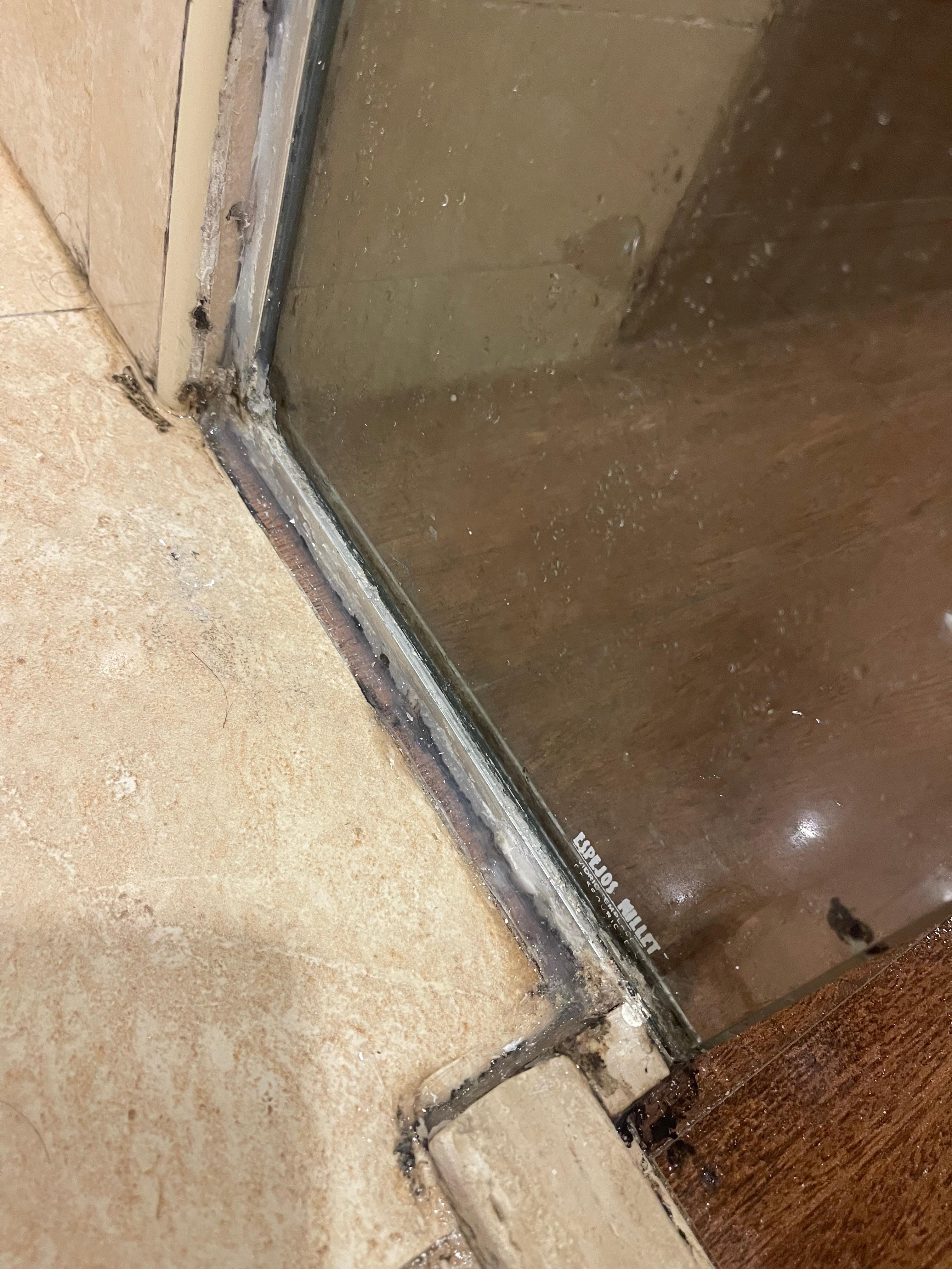 Bathroom shower glass mold