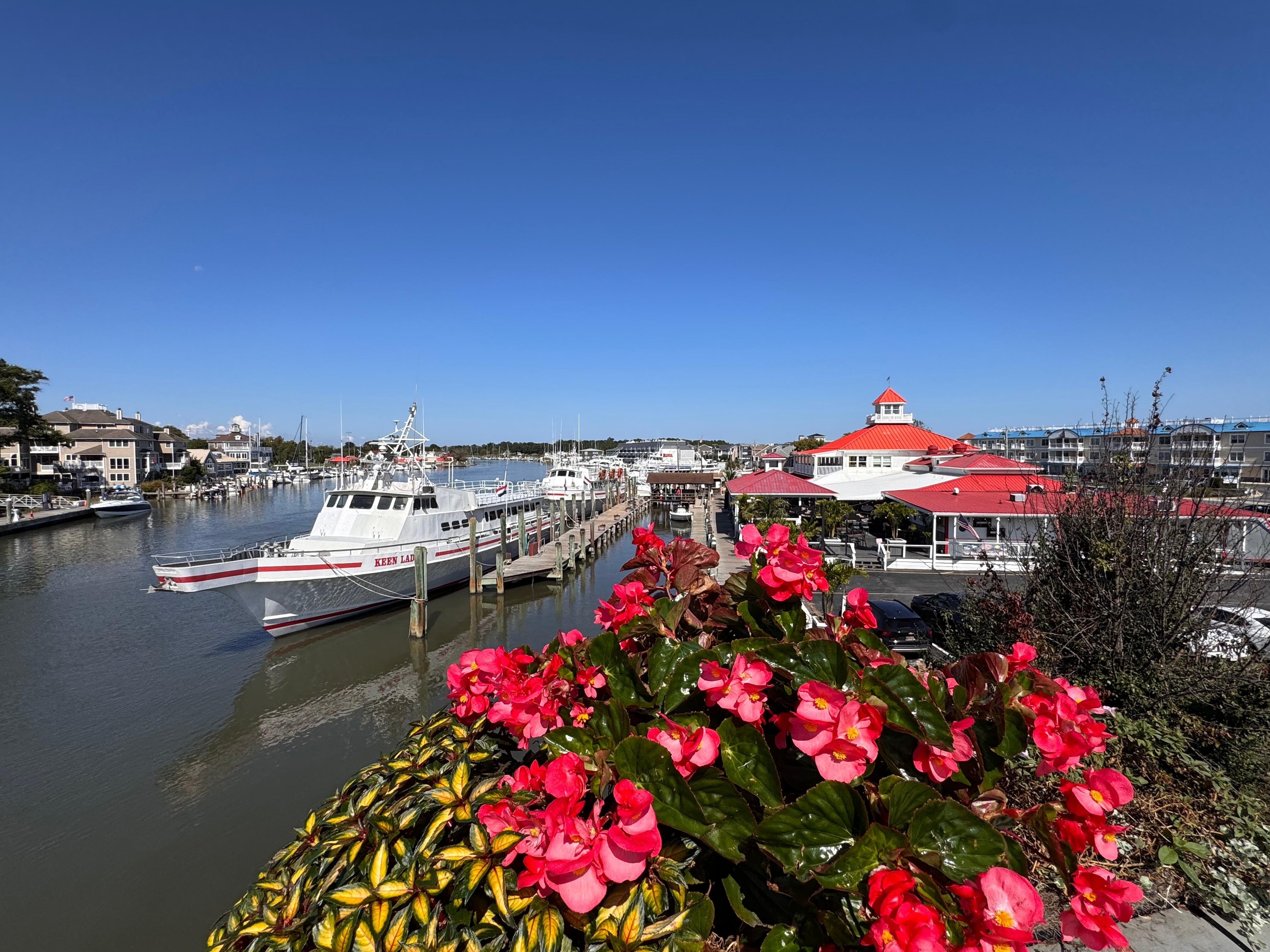 View from bridge in town 