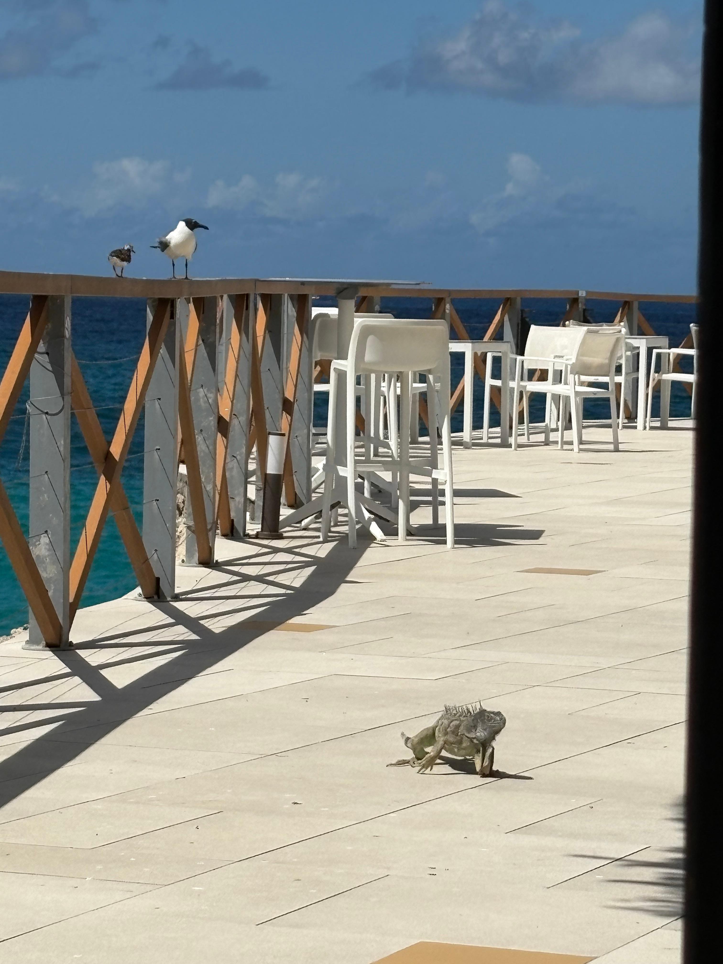 Buffet area had beautiful views