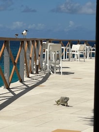 Buffet area had beautiful views