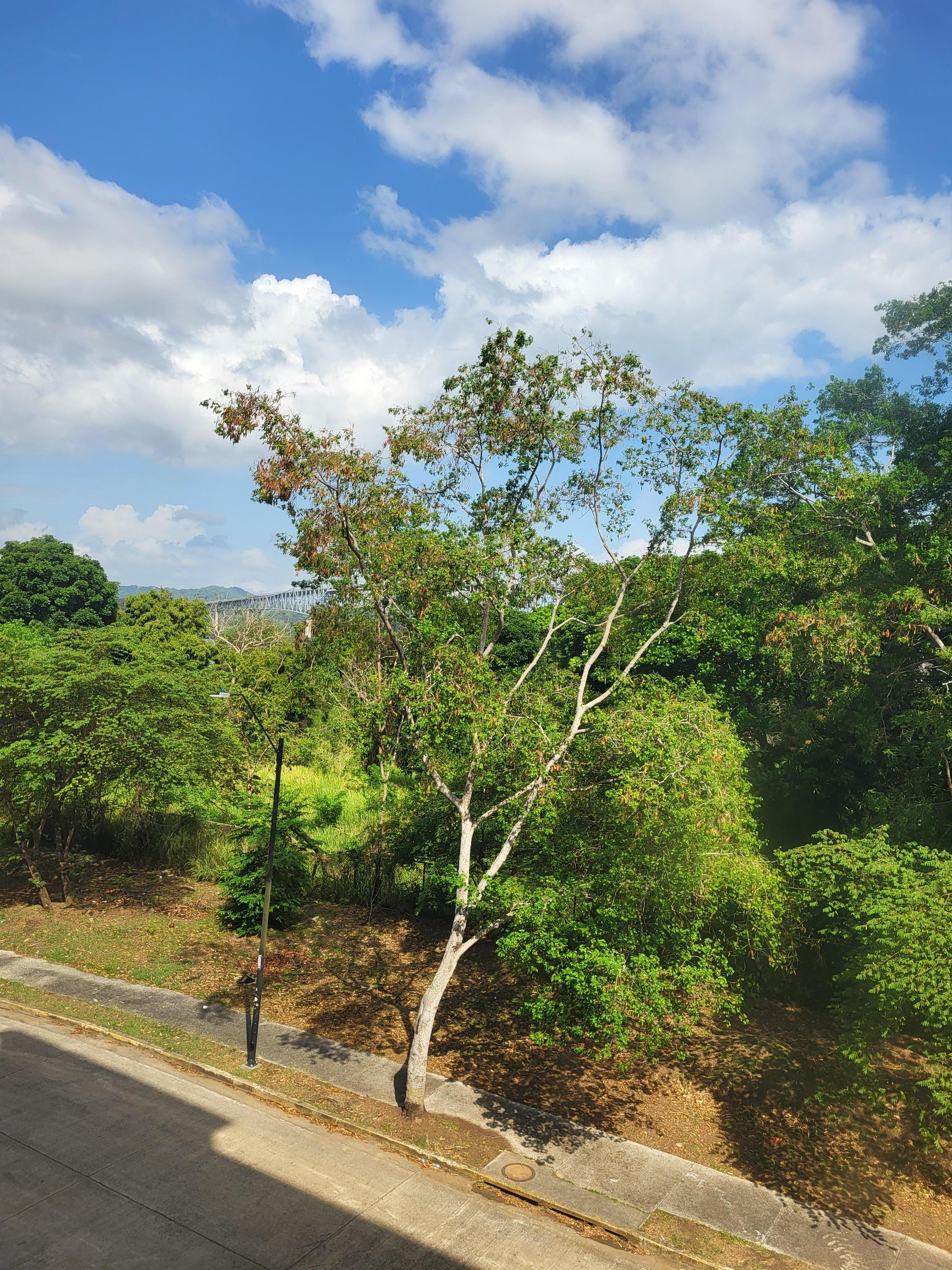 View from kids window