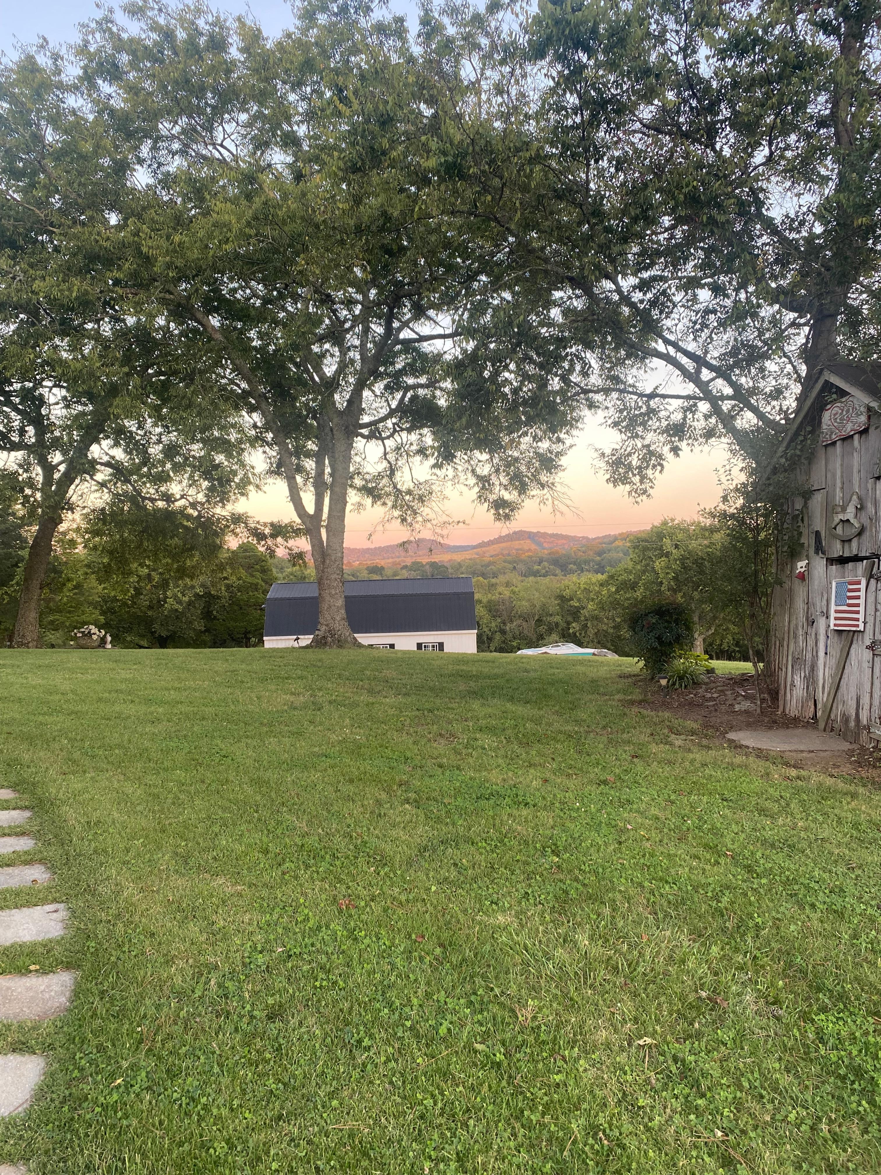 I took a few photos one evening on our walk. 