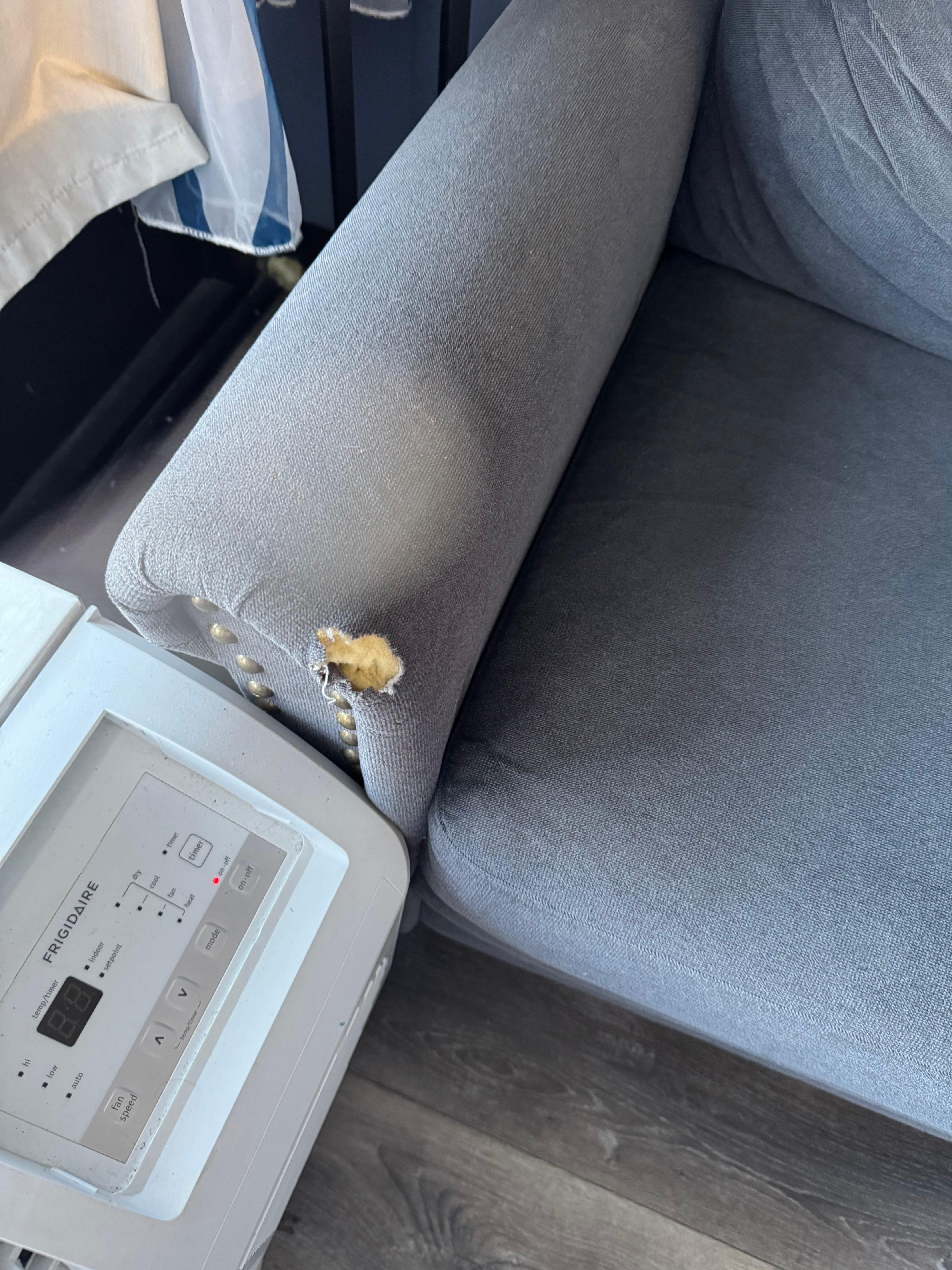 Disgusting furniture