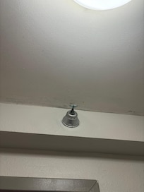 Mold