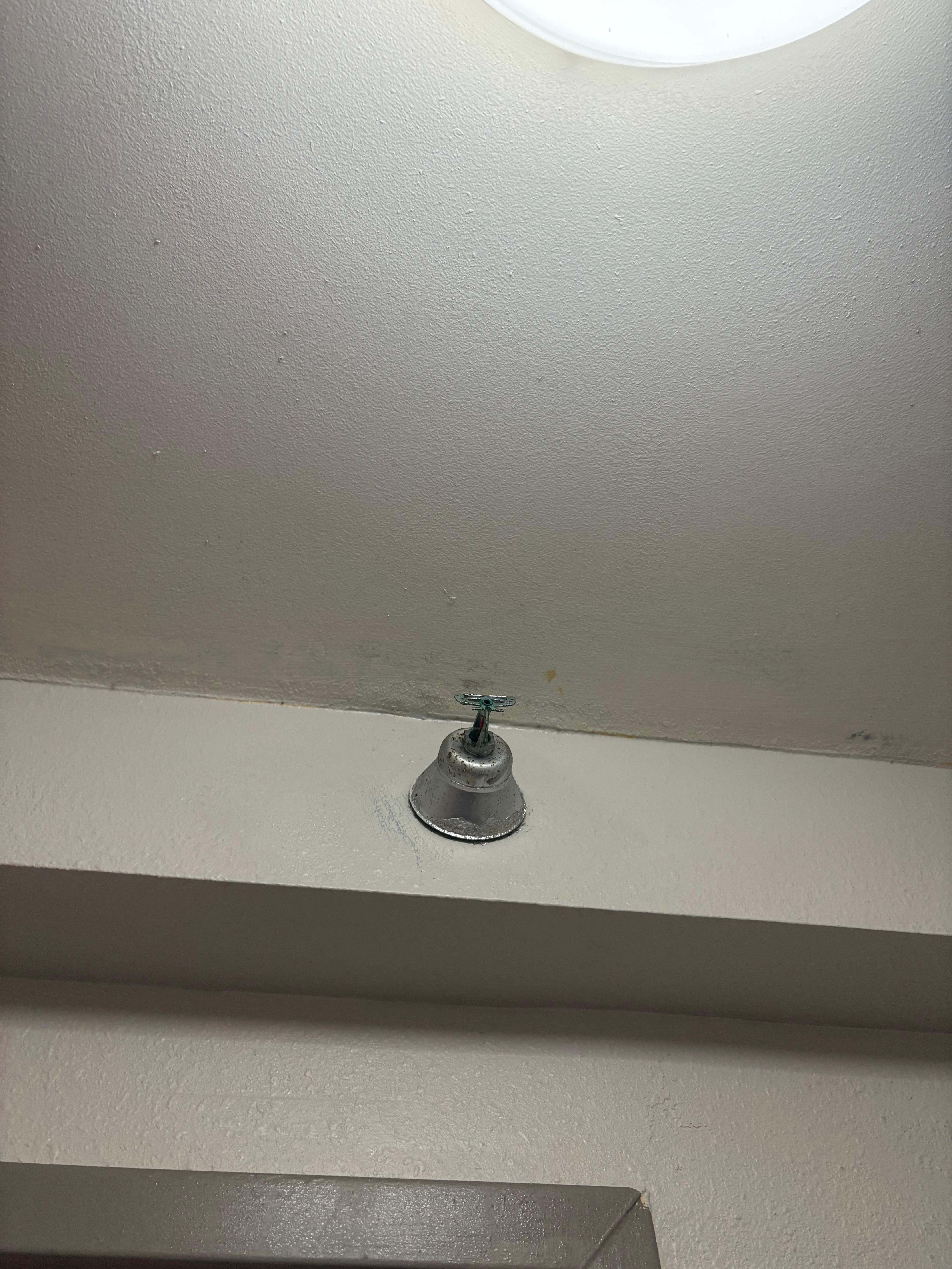 Mold