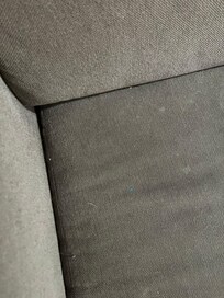 Cat hair on soiled chair