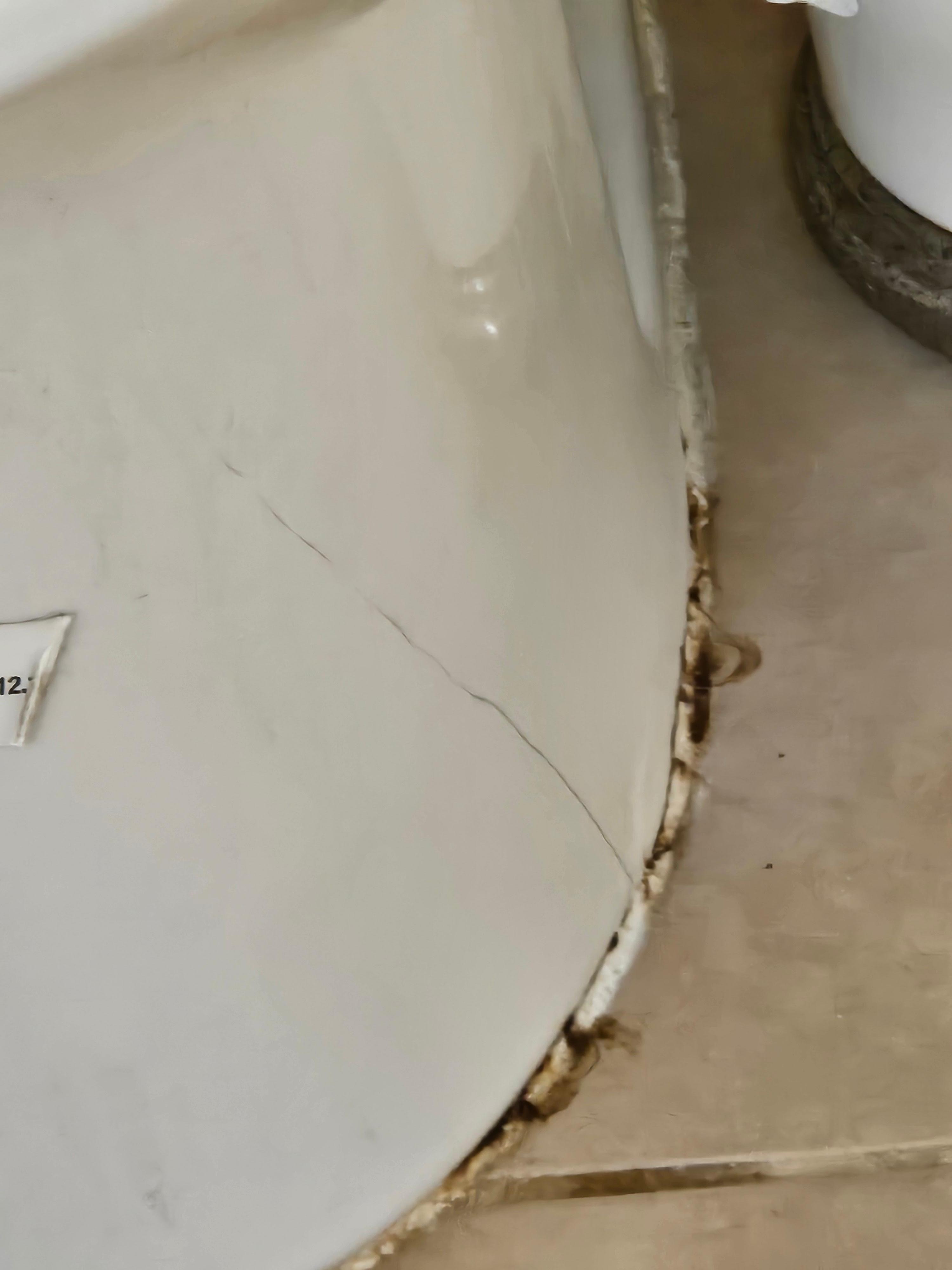 The master bathroom toilet base