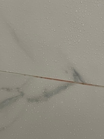 Mold
