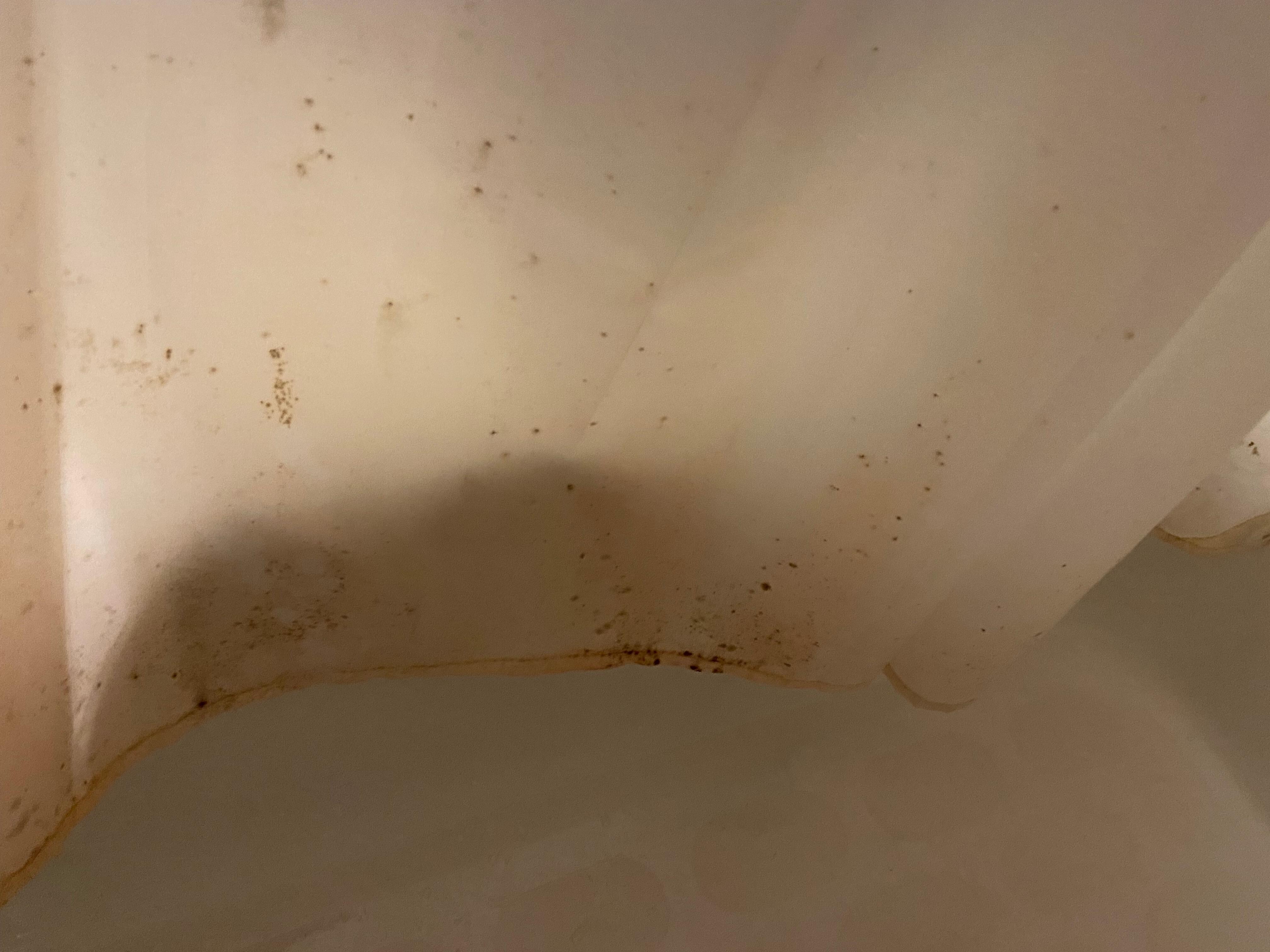 Shower liner downstairs