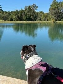Beautiful pond for fishing, kayaking, or swimming