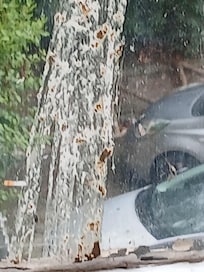 This is what most of the windows look like