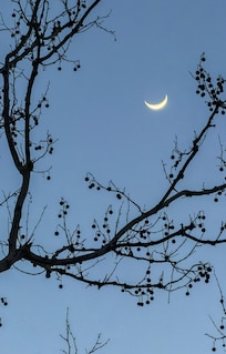 Winter skies