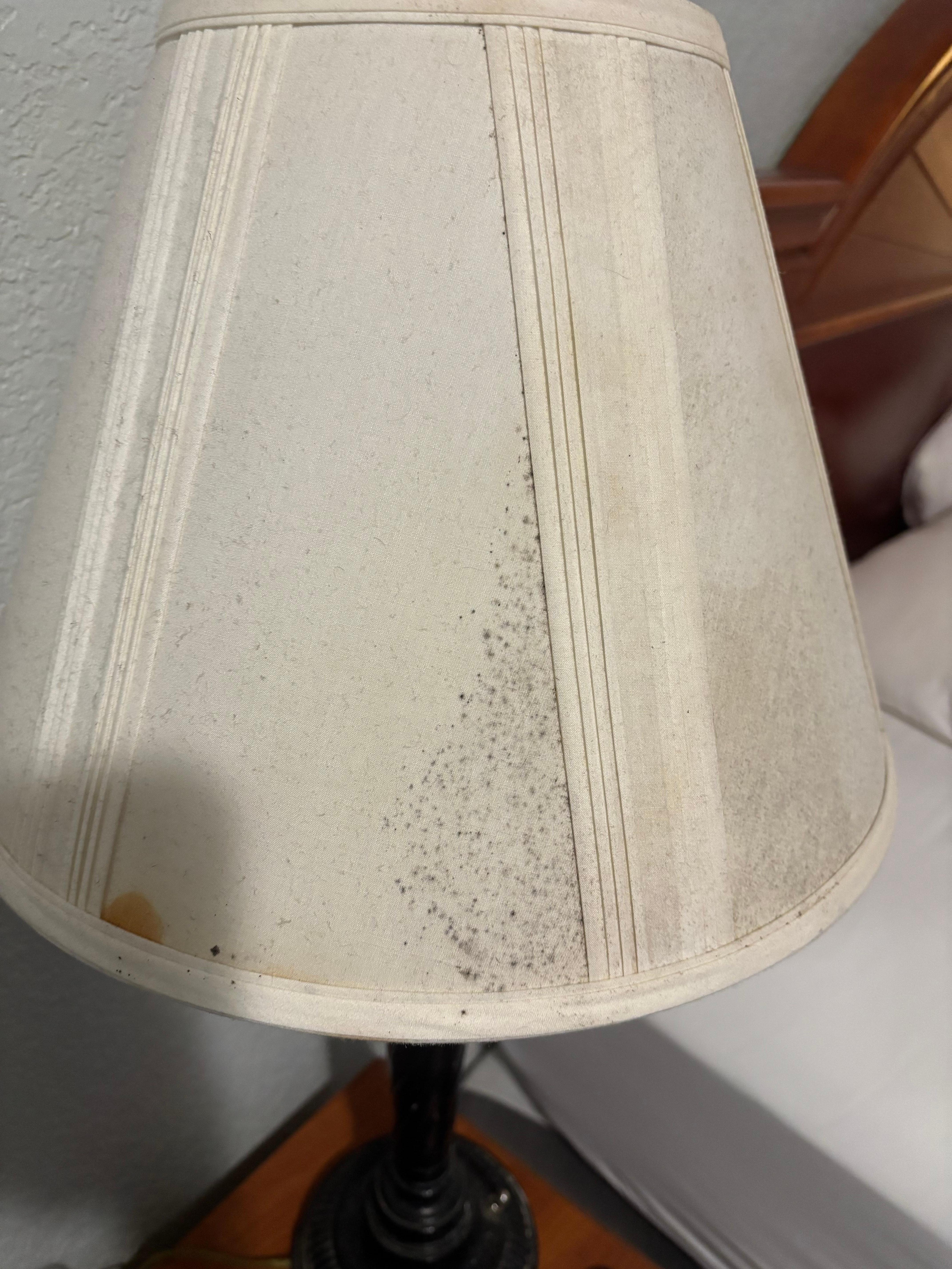 Mold all over the light shades. 