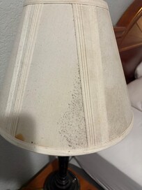 Mold all over the light shades.
