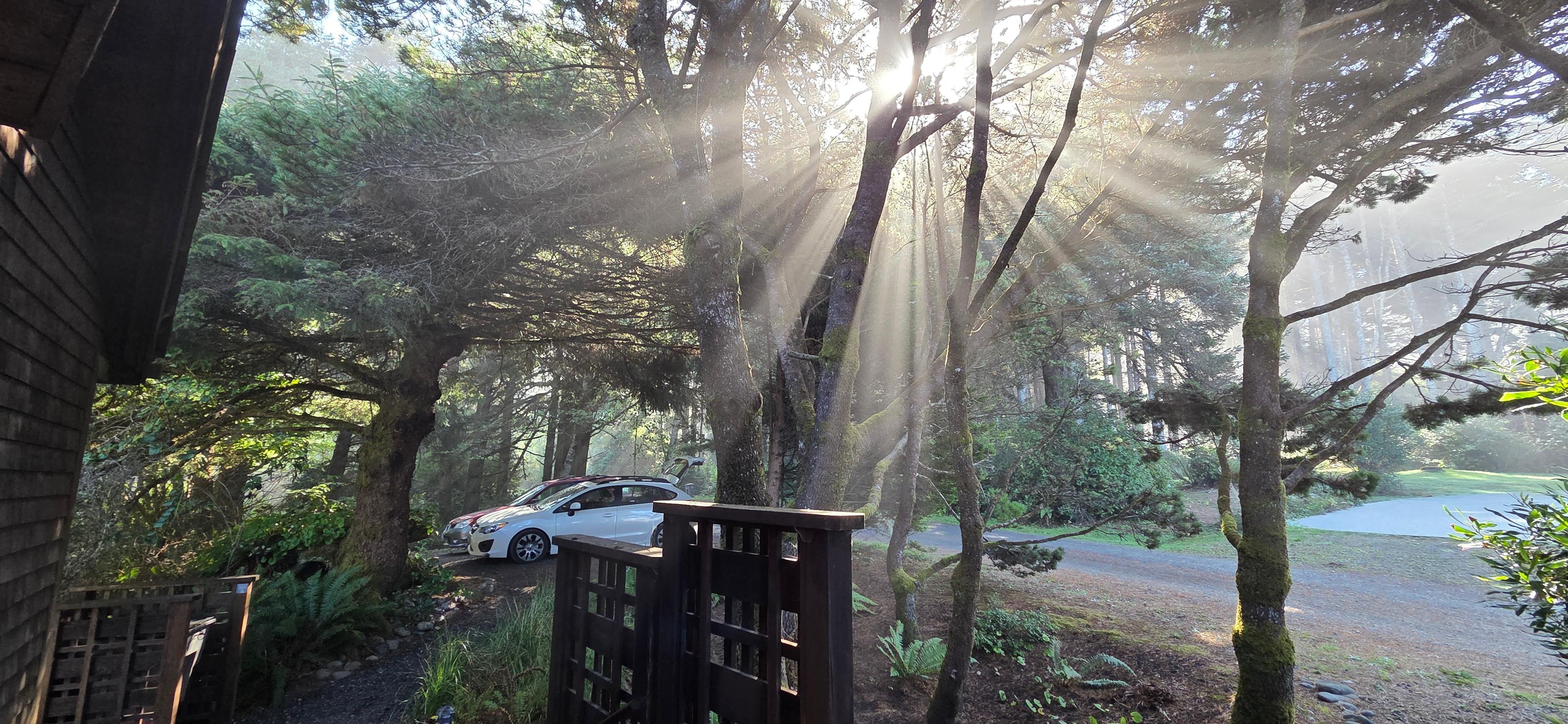 Sunbeams in the morning from the front of the house looking to the parking area.
