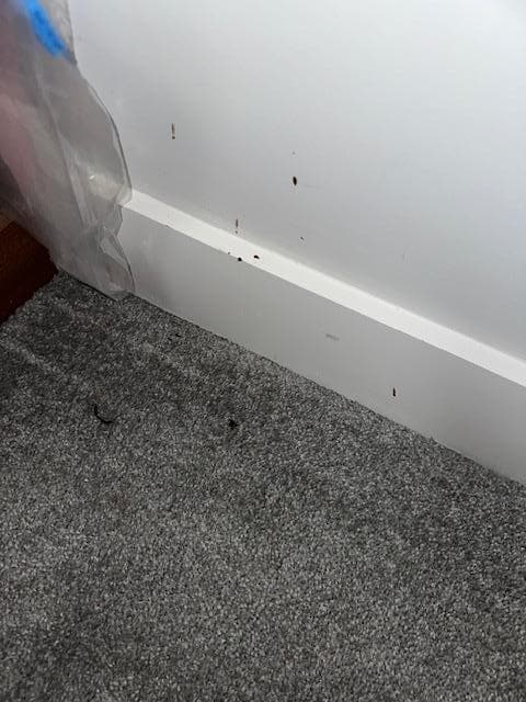 Sticky splatter on bedroom wall.