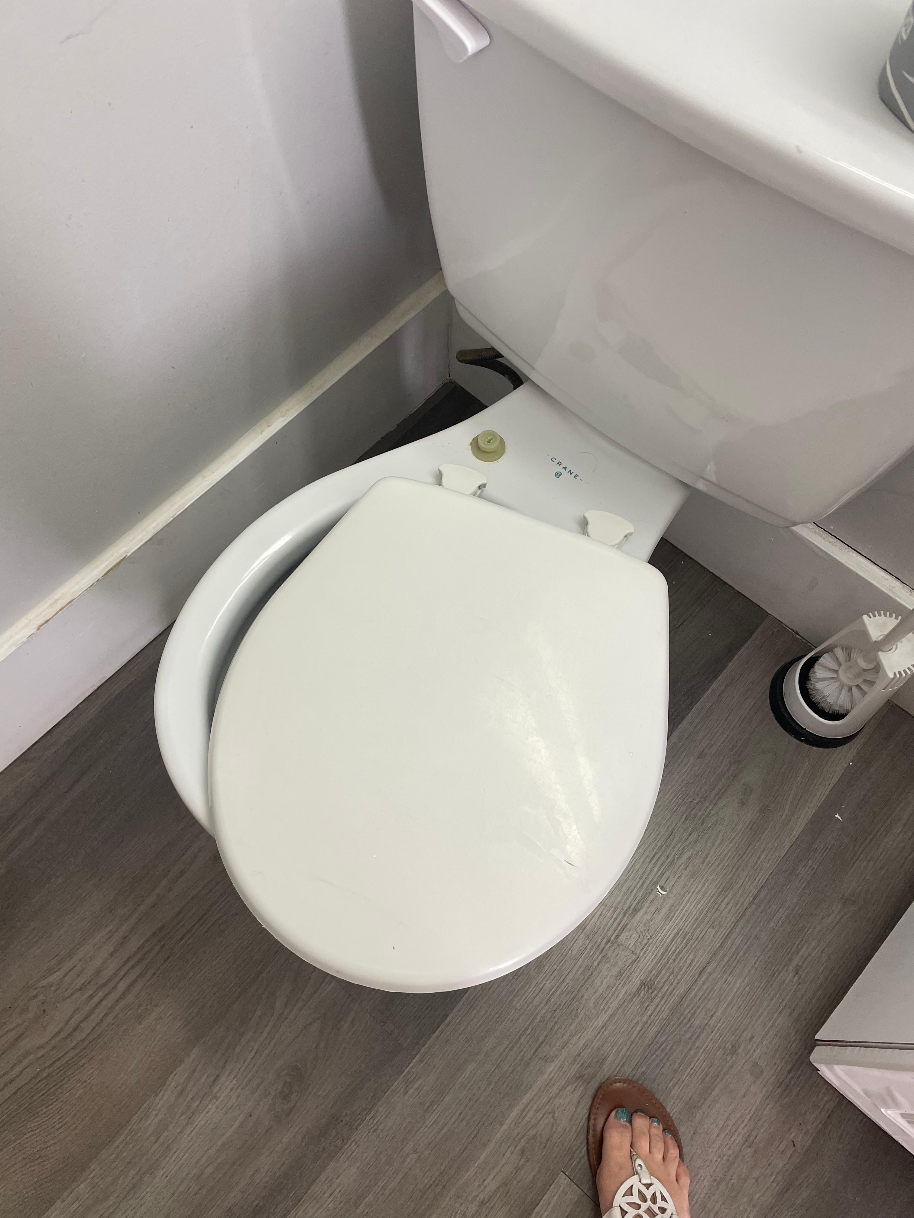 Toilet seat was loose