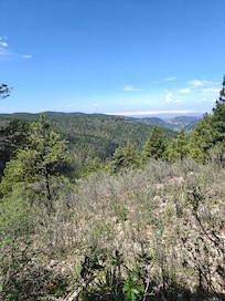 This is off the local trail for the Mexican rail road.