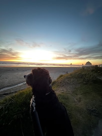 So close to the beach.