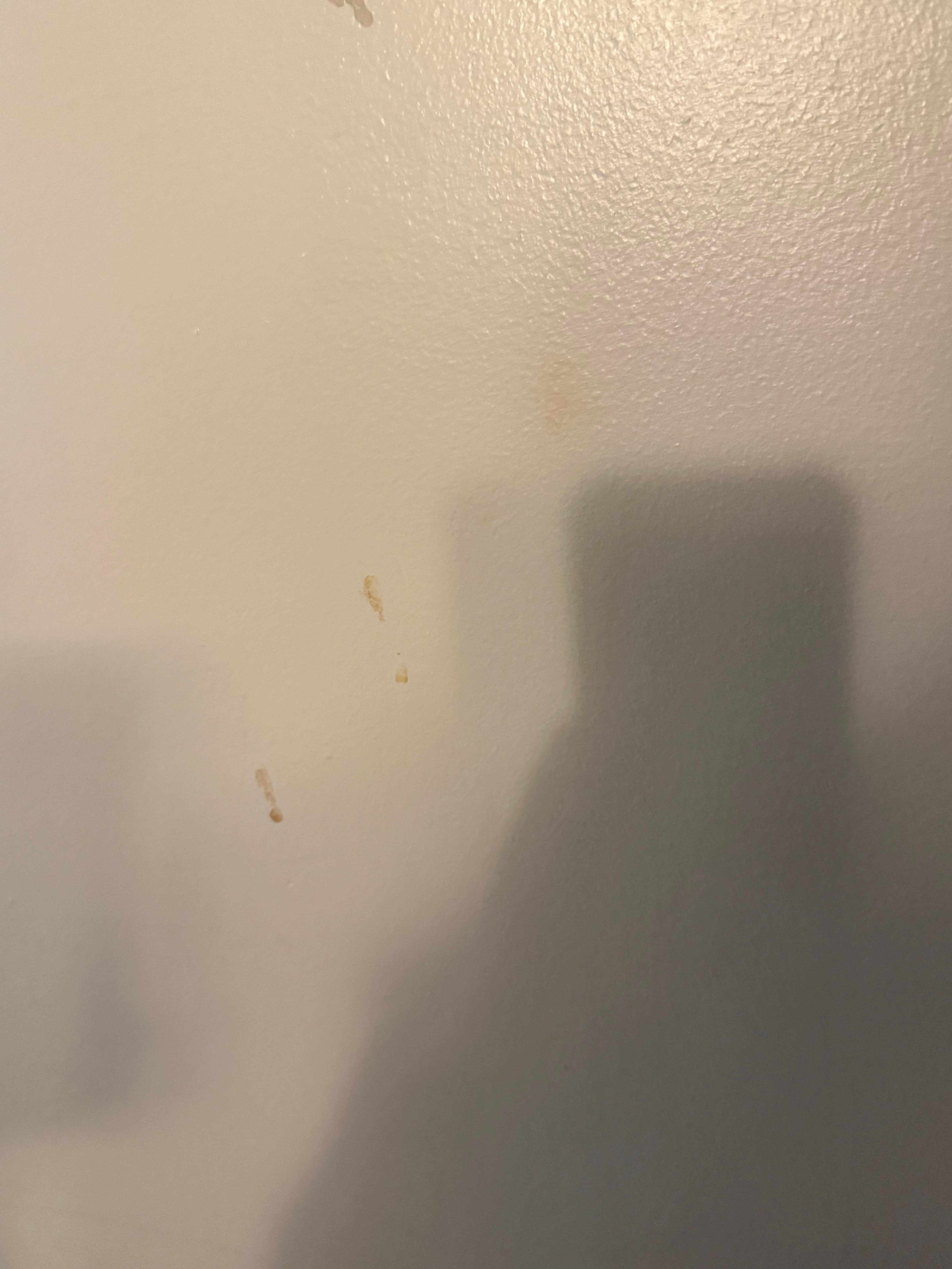 Stuff dripping down the walls all over the place