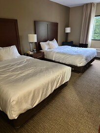 Room provided at check-in (smelled bad, even after switching rooms)