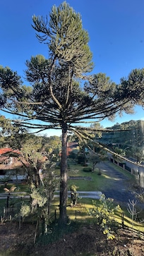 Vista do nosso quarto!