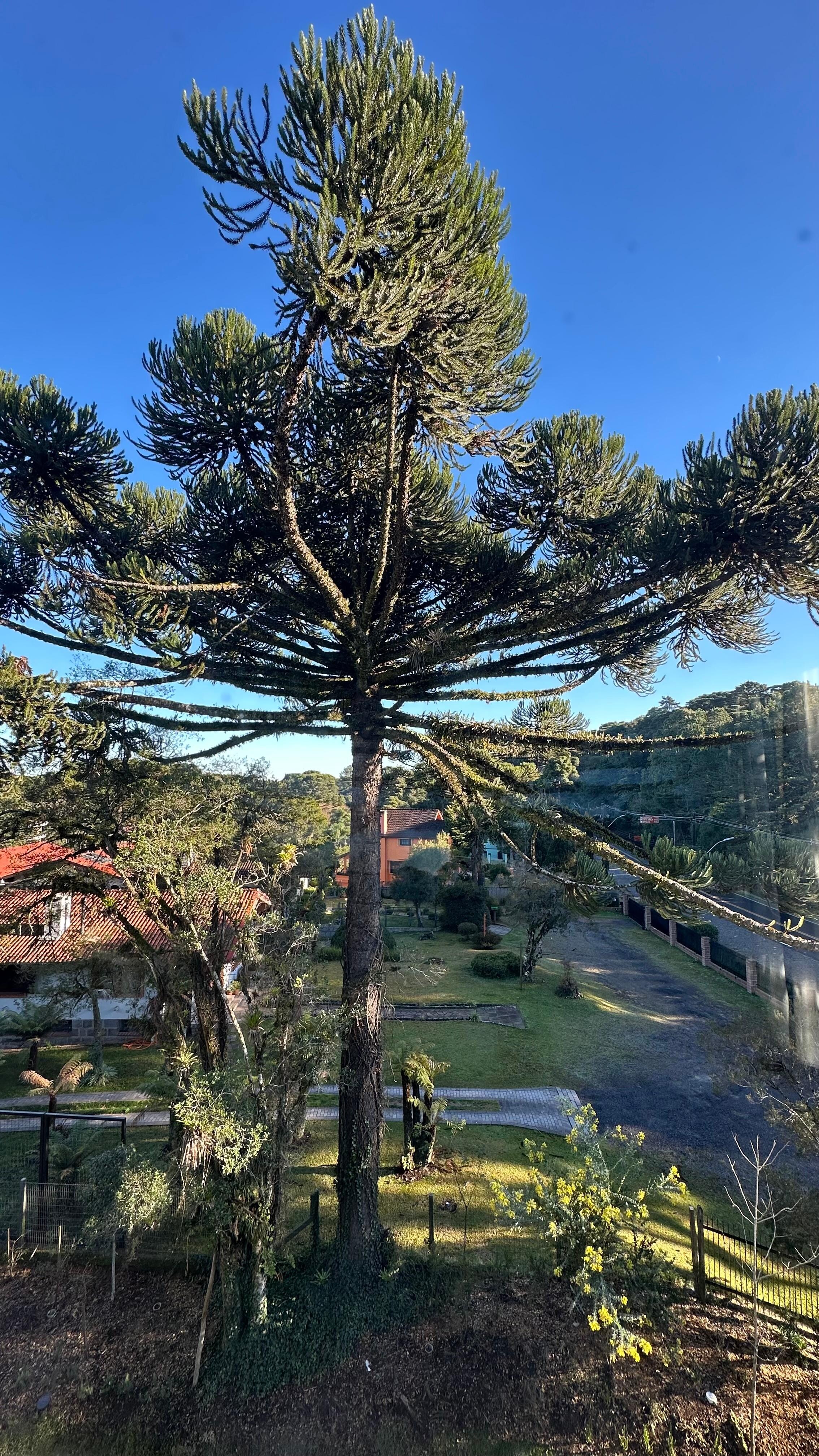 Vista do nosso quarto! 
