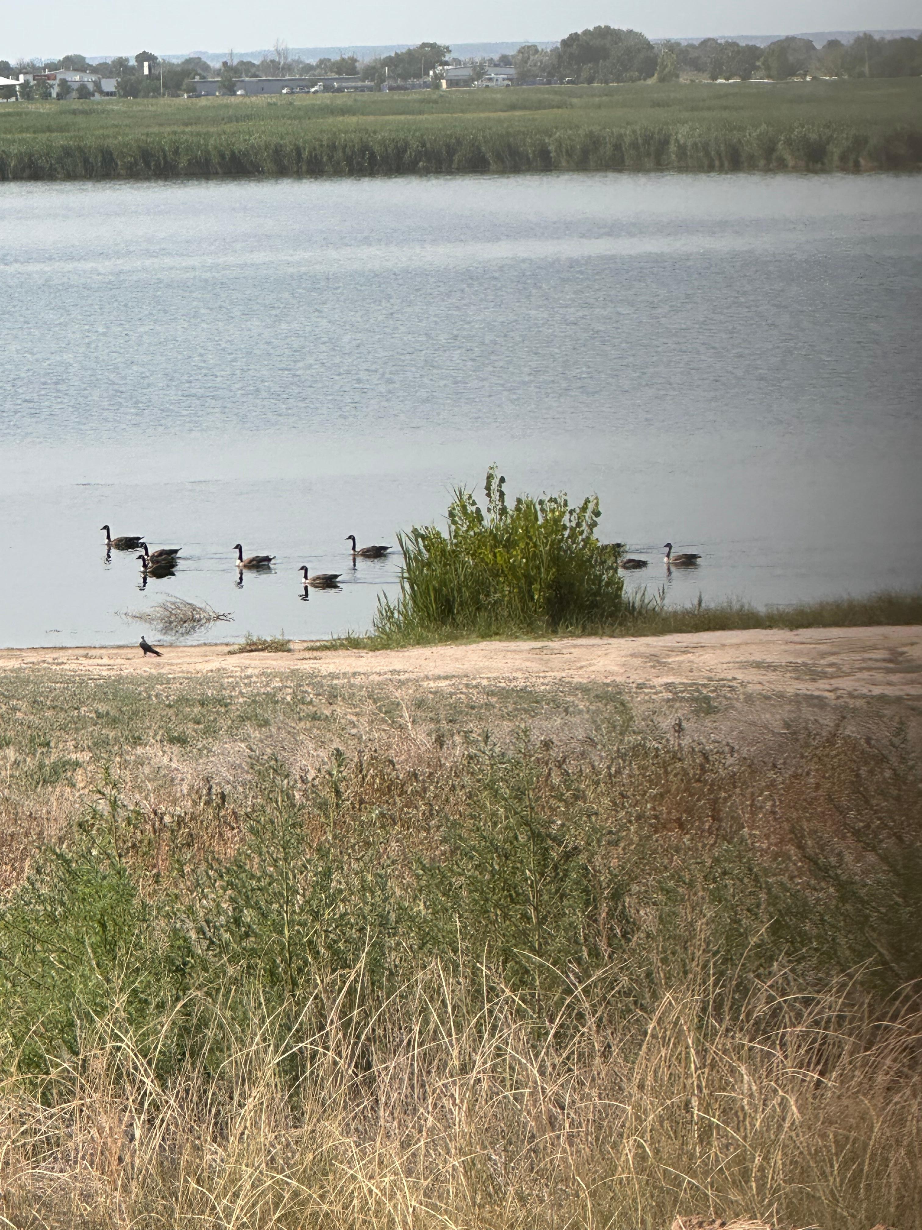Near by Lake within walking distance for a nice stroll