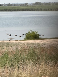 Near by Lake within walking distance for a nice stroll