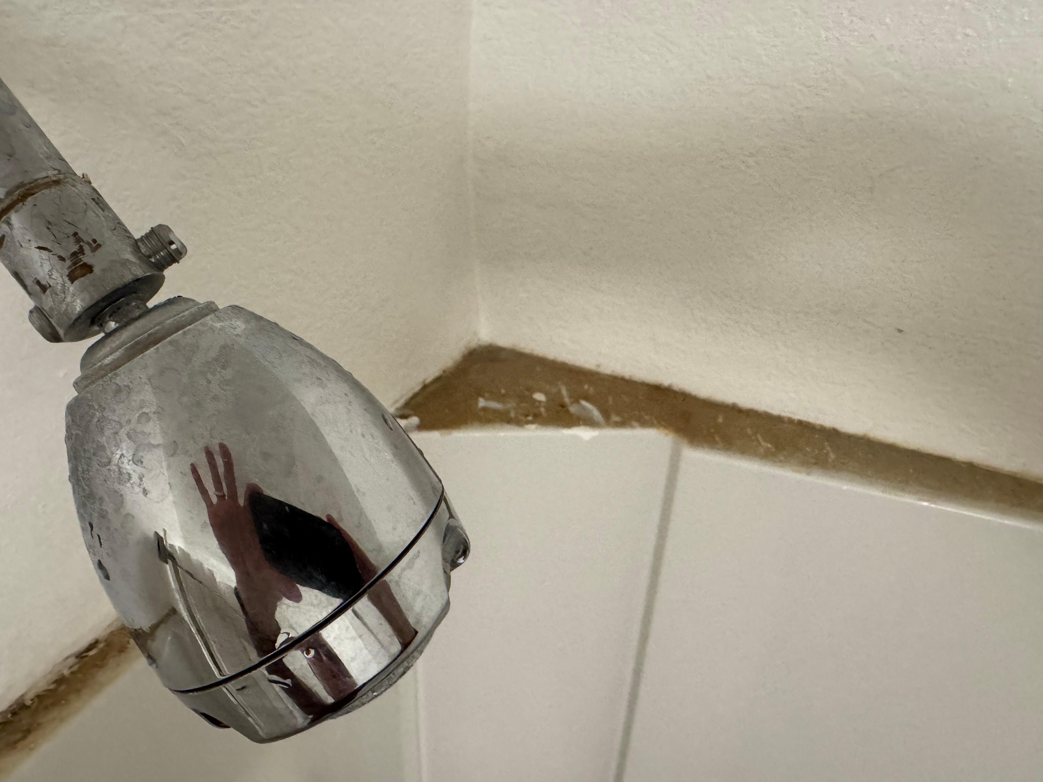 Shower enclosure