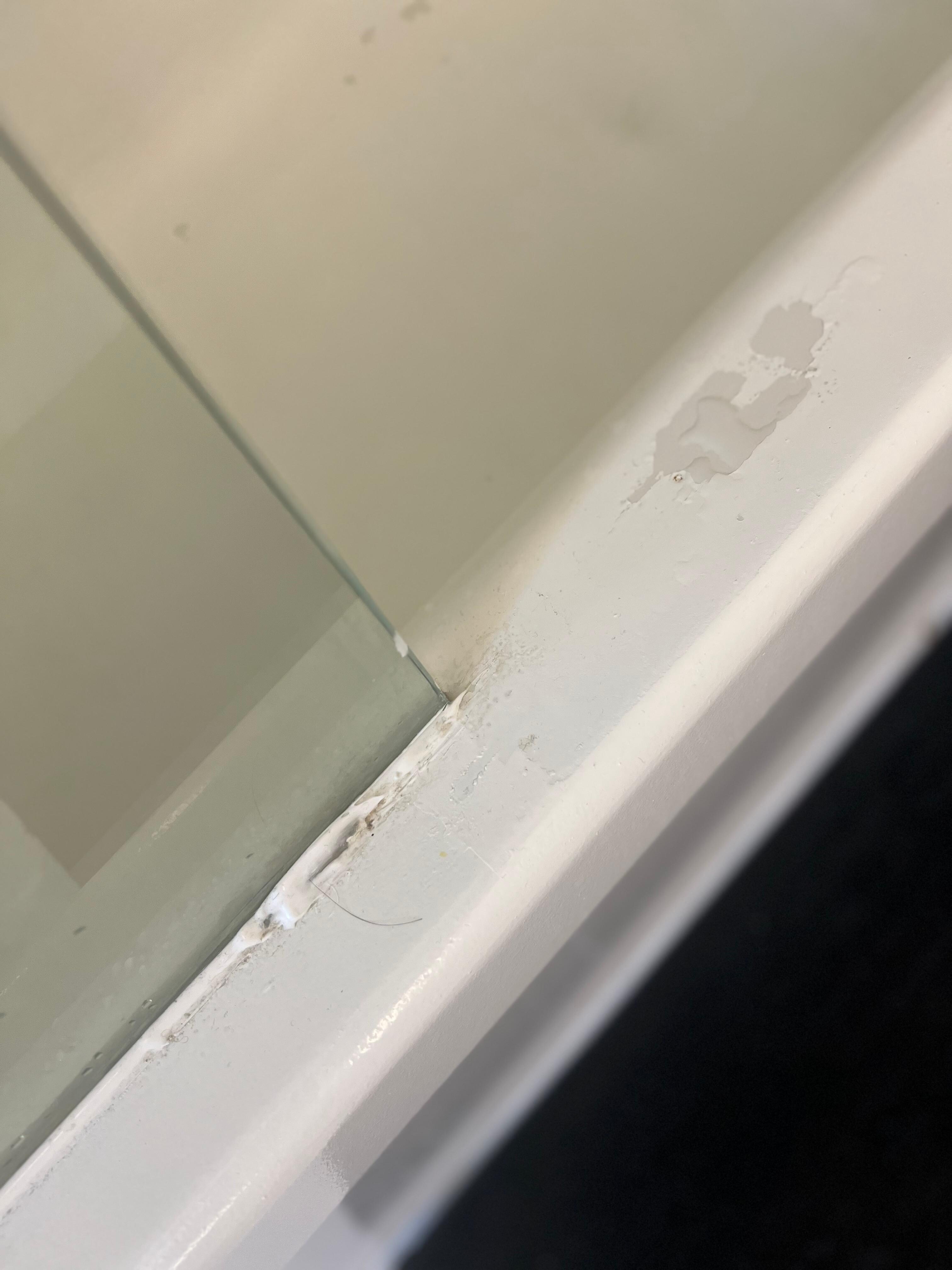 Moldy, pealing paint, previous guest hair