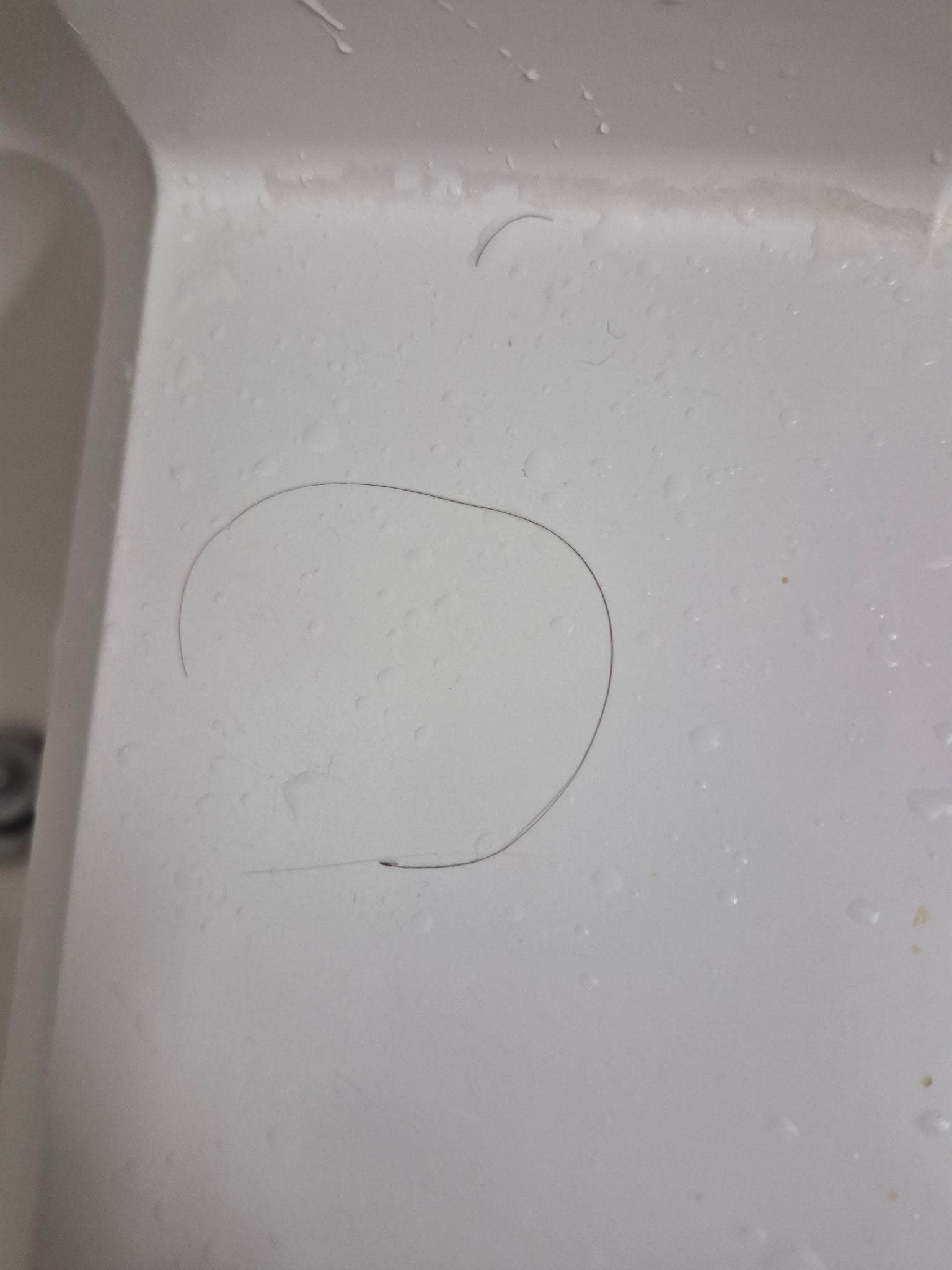 Hair in the shower