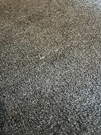 Dog hair