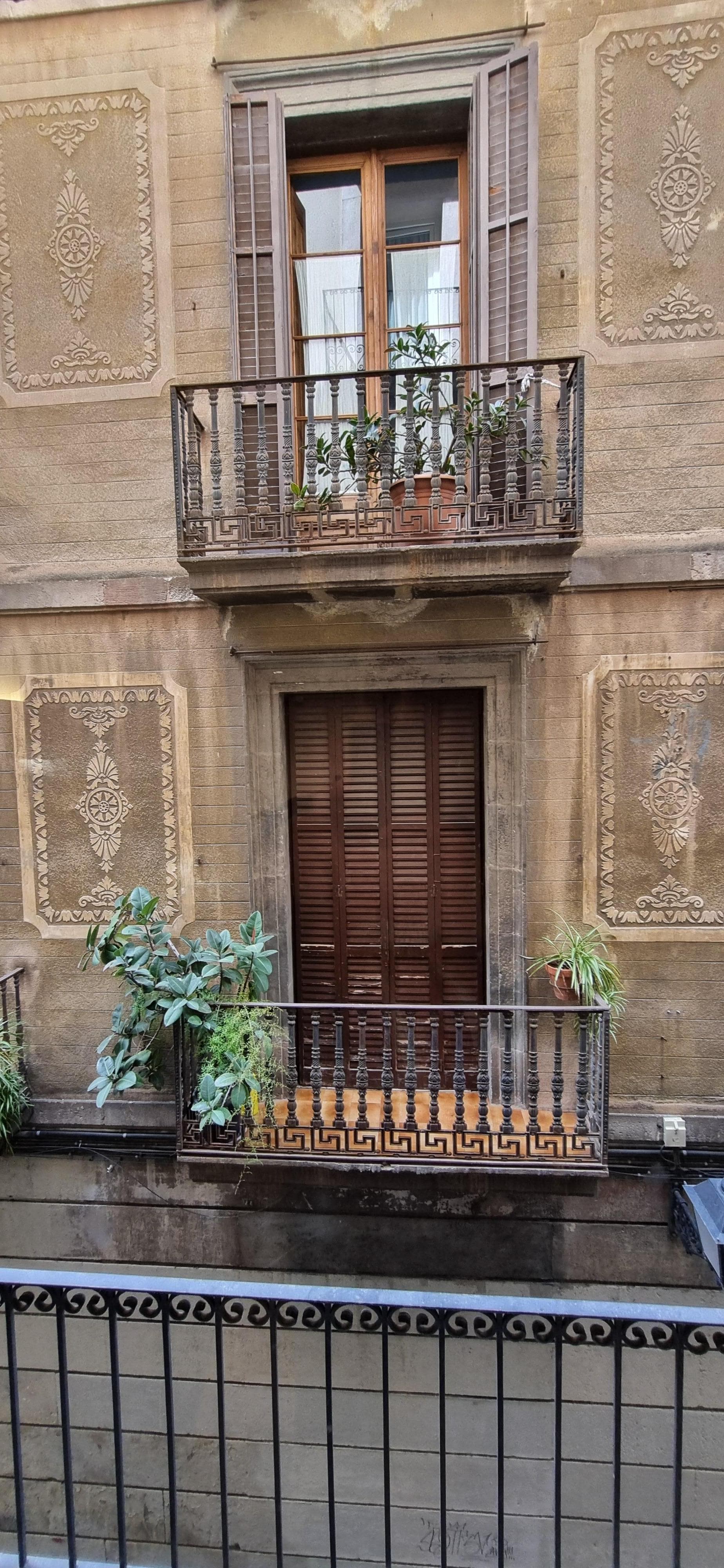 the sweet and charming view from my hotel room window that warms the heart