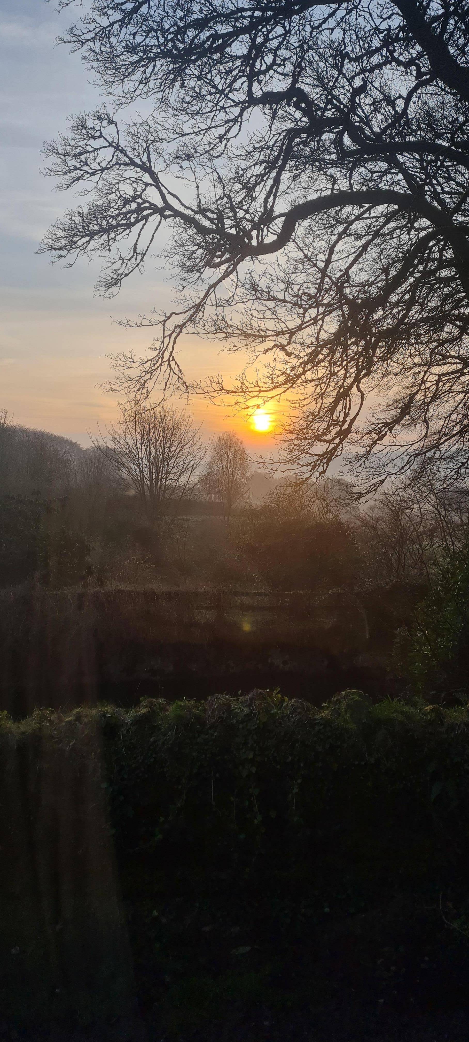 Sun rising on spring equinox, from the cottage window.
