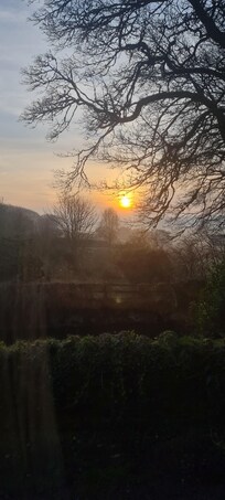Sun rising on spring equinox, from the cottage window.
