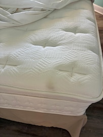 Went through to bed cover