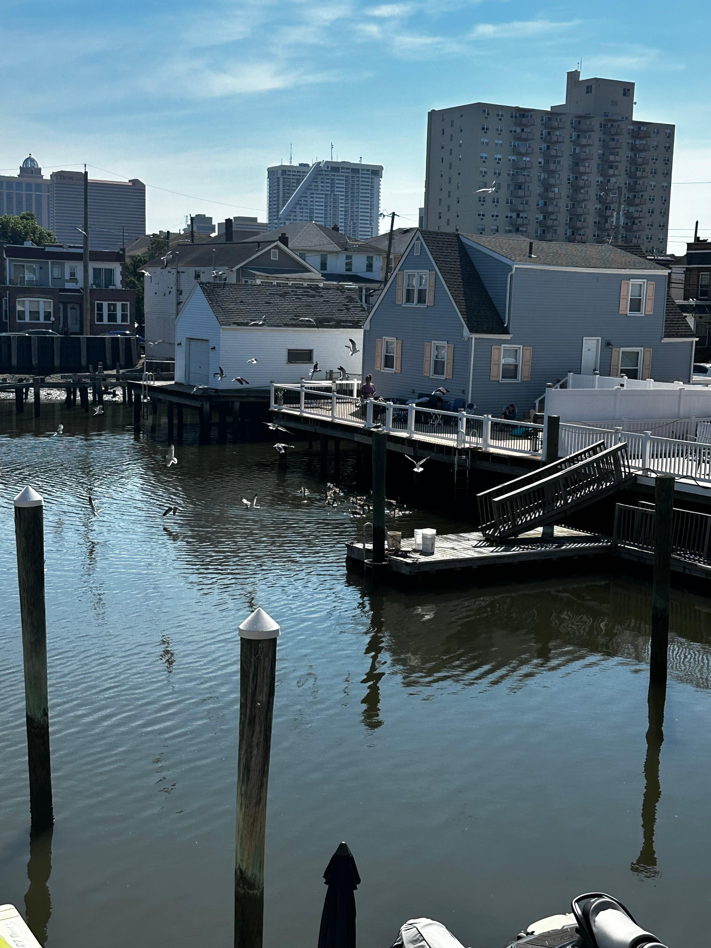 Harbor area
