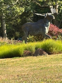 Moose welcomed us. Bronze of course.