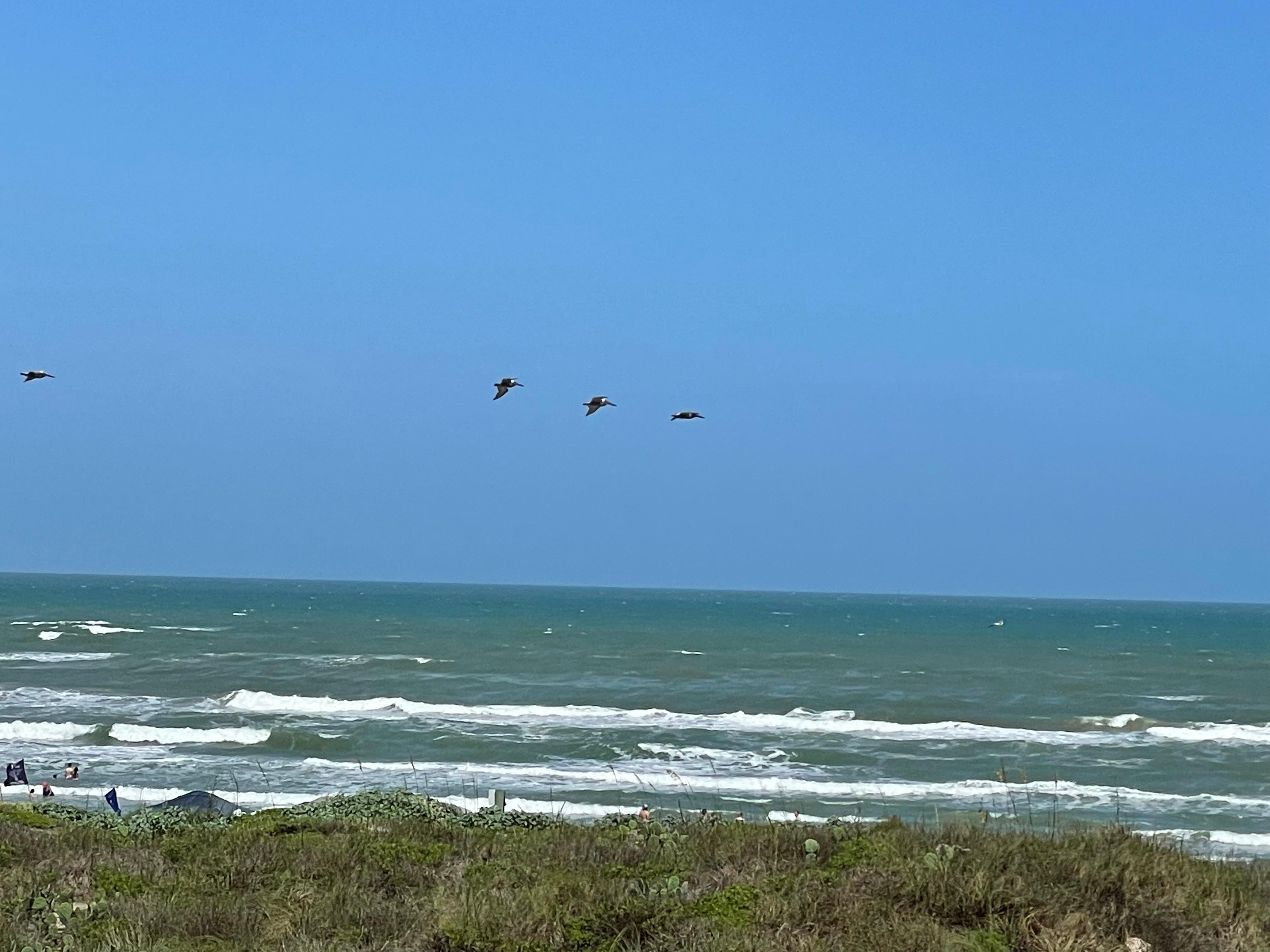 View of beach from deck