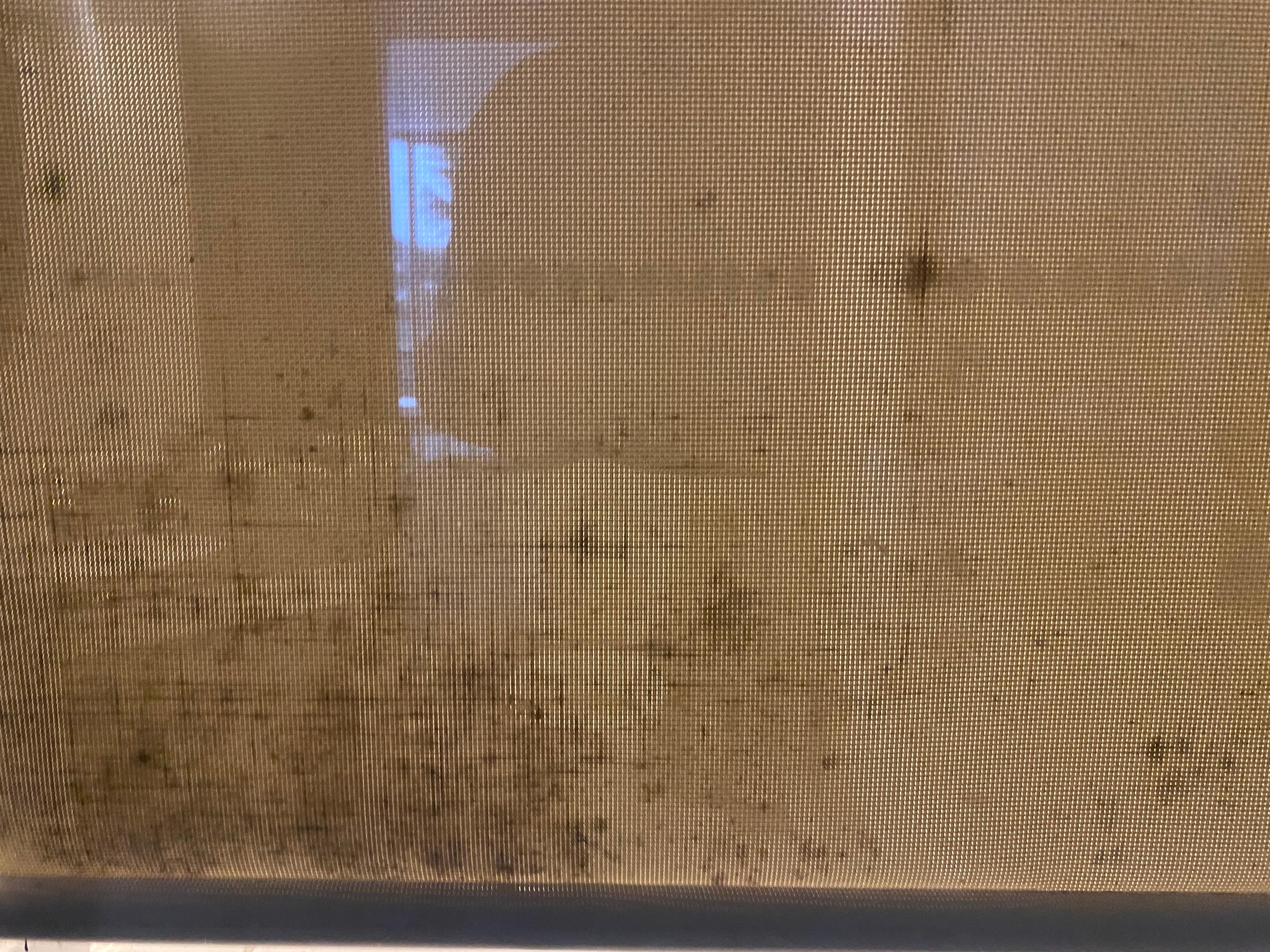 Mouldy