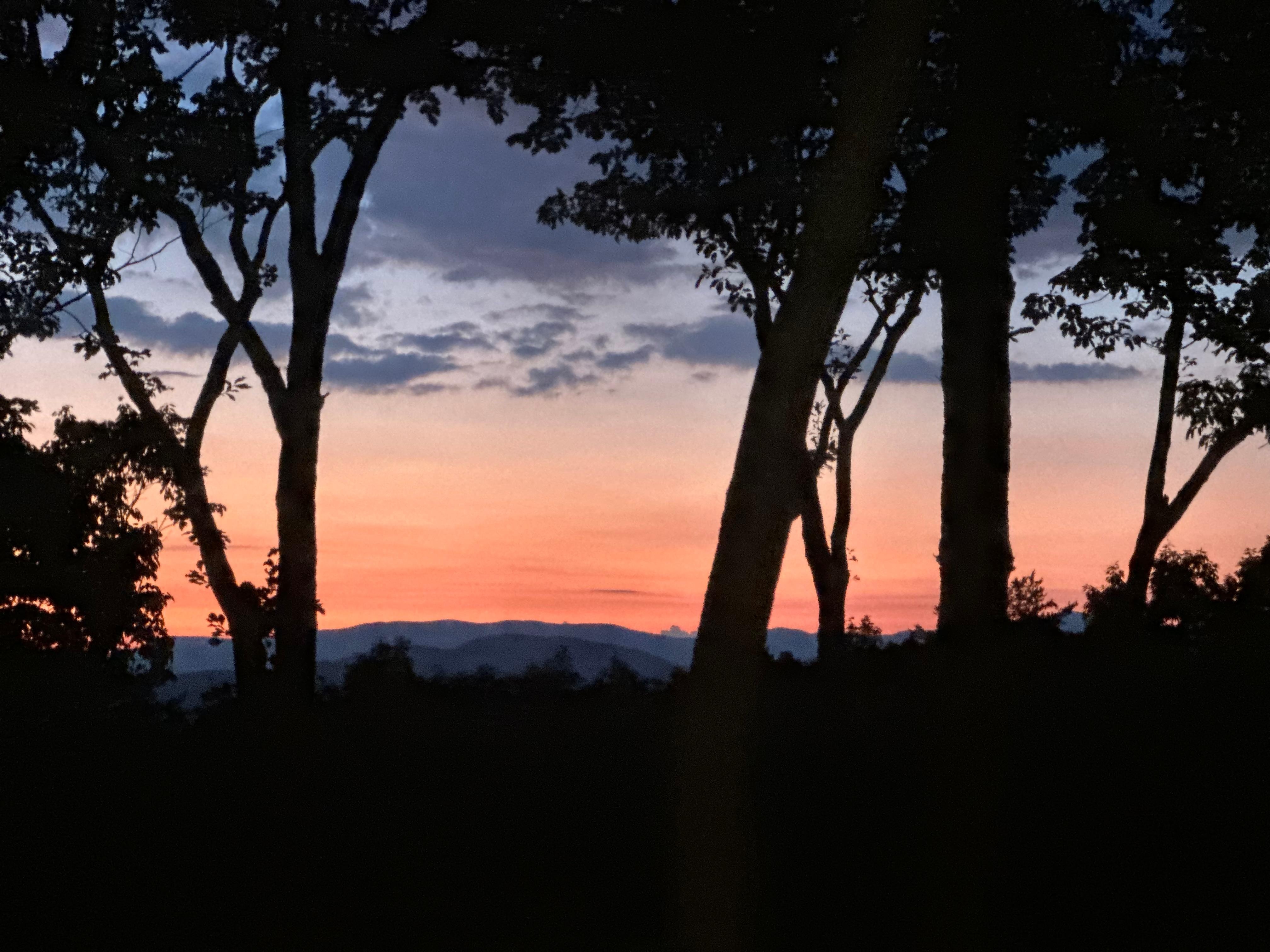 View from the screened in back porch. 