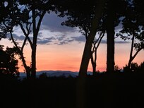 View from the screened in back porch.