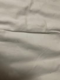 Dog hair