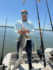Sharp Nose Shark On The Finnatic
Charleston SC