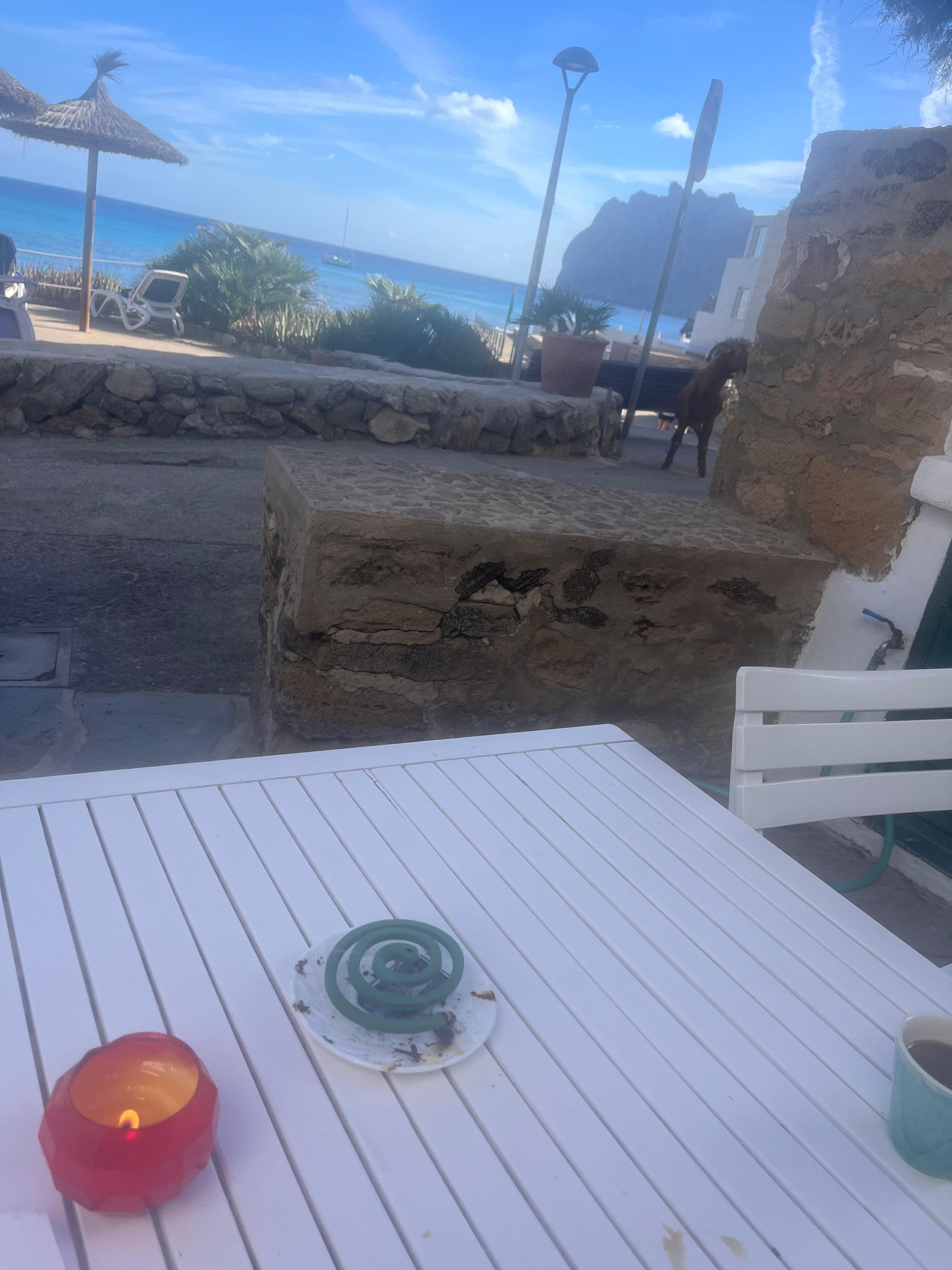 Our little private terrace 