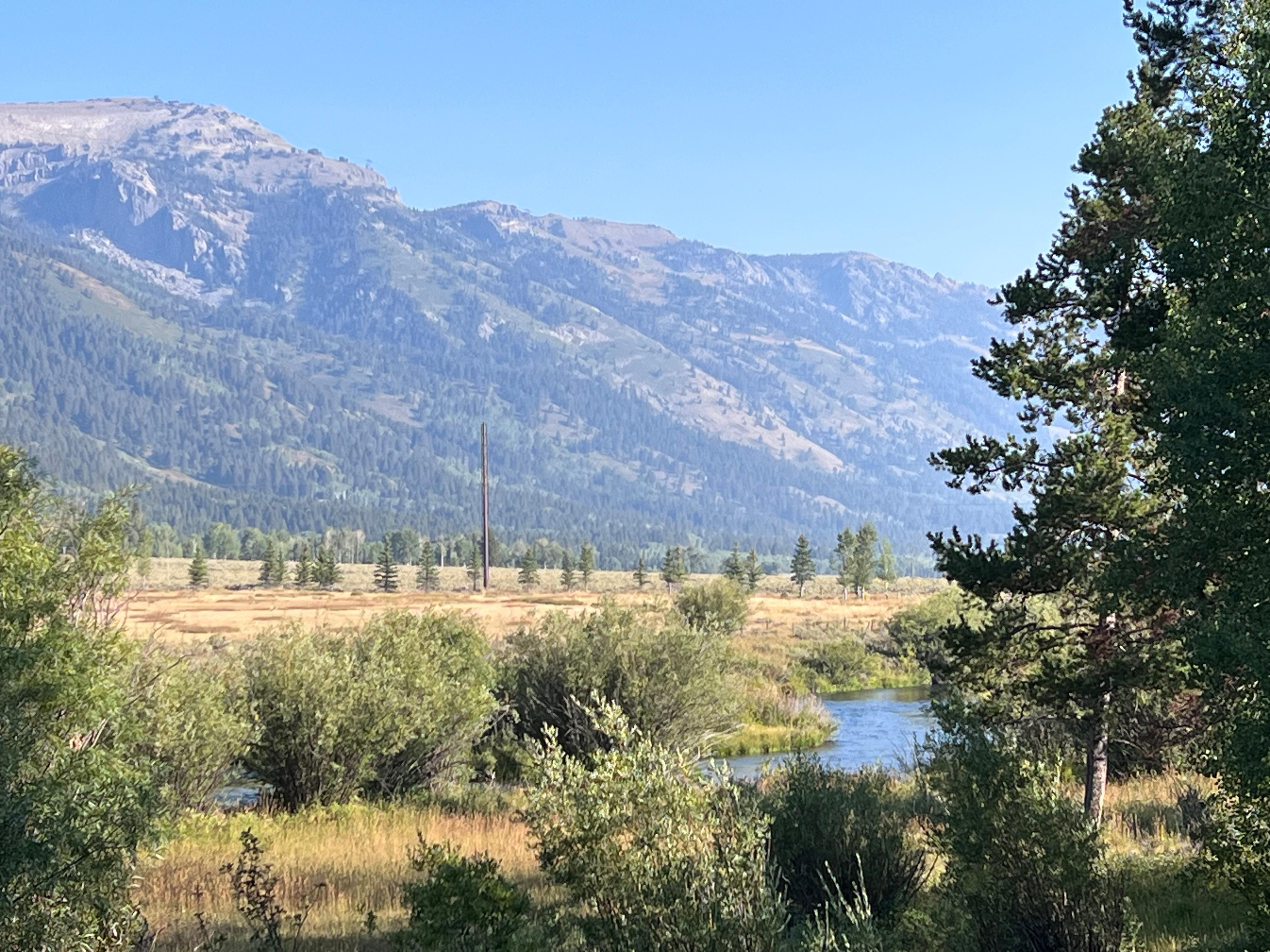 View from the porch. 