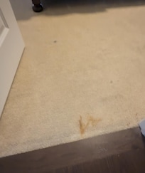 Carpets were not cleaned or vacuumed